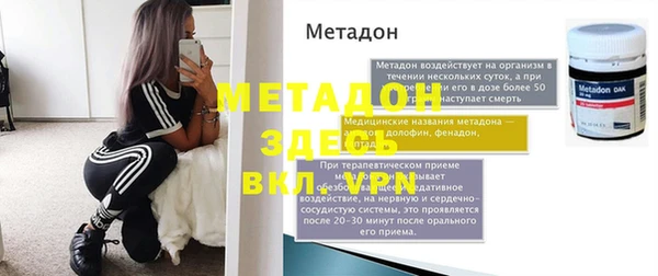 гидра Покачи
