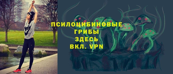 spice Абдулино